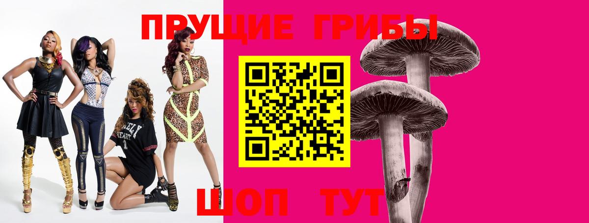Псилоцибиновые грибы прущие грибы Междуреченск